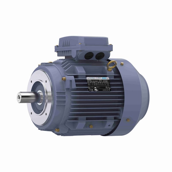 5.50 Kw General Purpose Low Voltage Iec Motor, 3 Phase, 1200 Rpm, R629